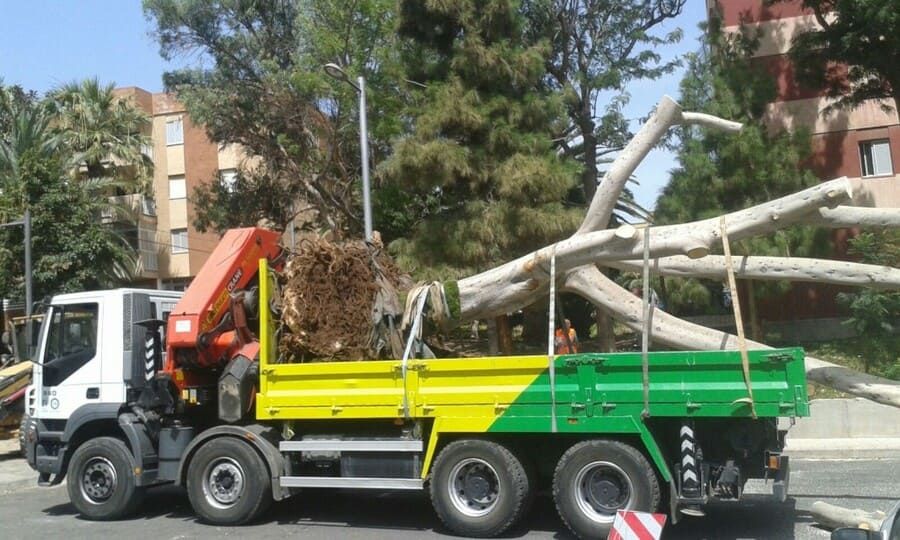 Grúas y Transportes Bony camión grúa 29