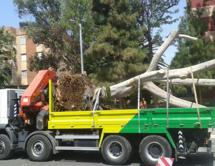 Grúas y Transportes Bony camión grúa 29